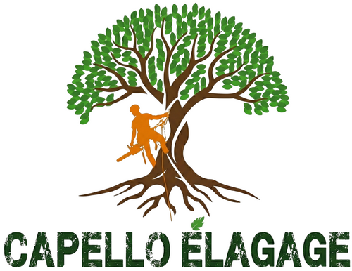 Capello Élagage